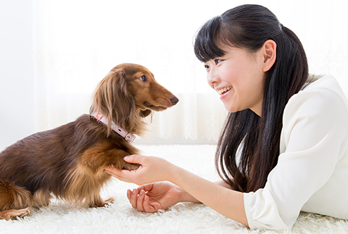 愛犬と笑顔 